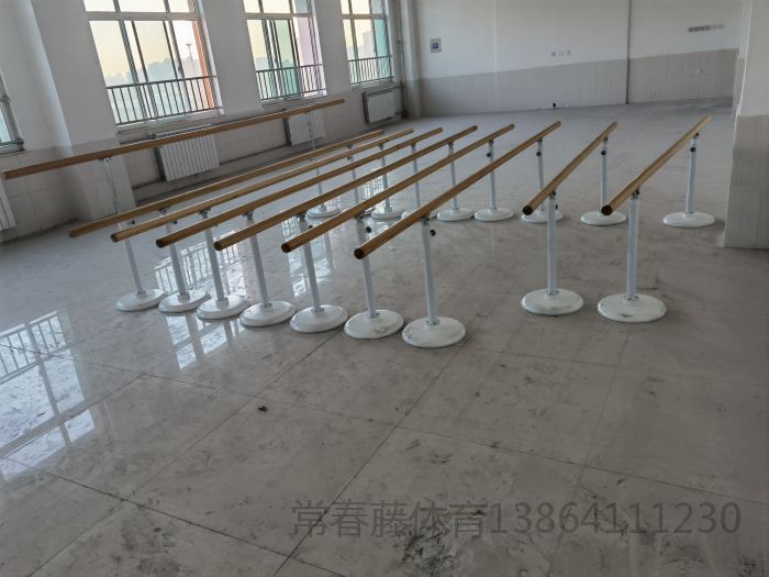 國(guó)內(nèi)某知名學(xué)校藝術(shù)部選用常春藤舞蹈把桿，舞蹈鏡